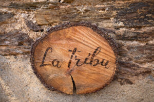 Tribu